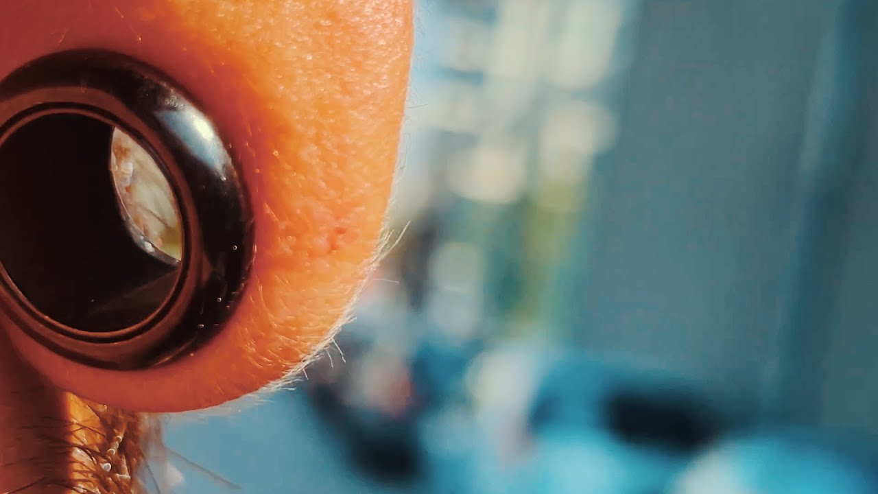 YBBY TARIKATA - BOSA NOVA