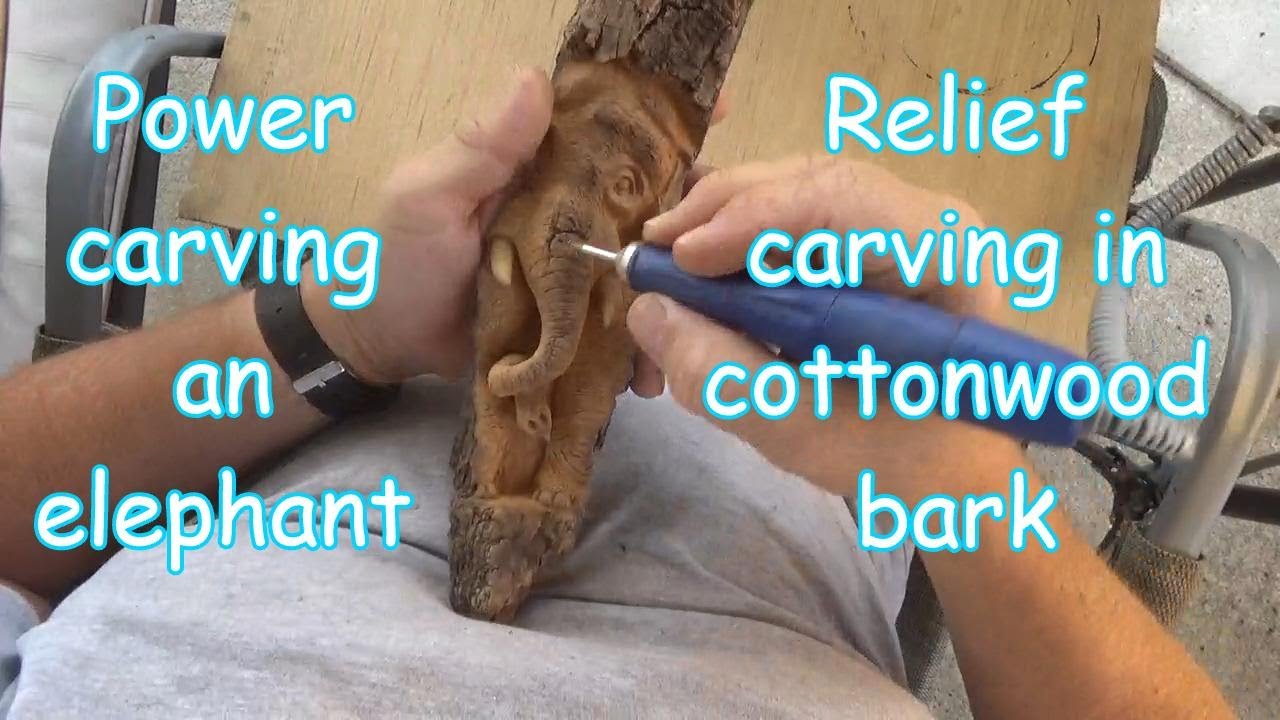 Cottonwood bark elephant