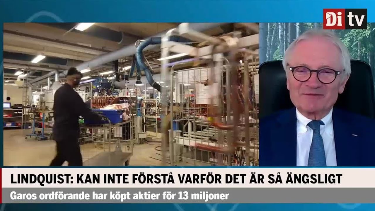 Nibes vd: ”Jag kan inte förstå varför det är så ängsligt”