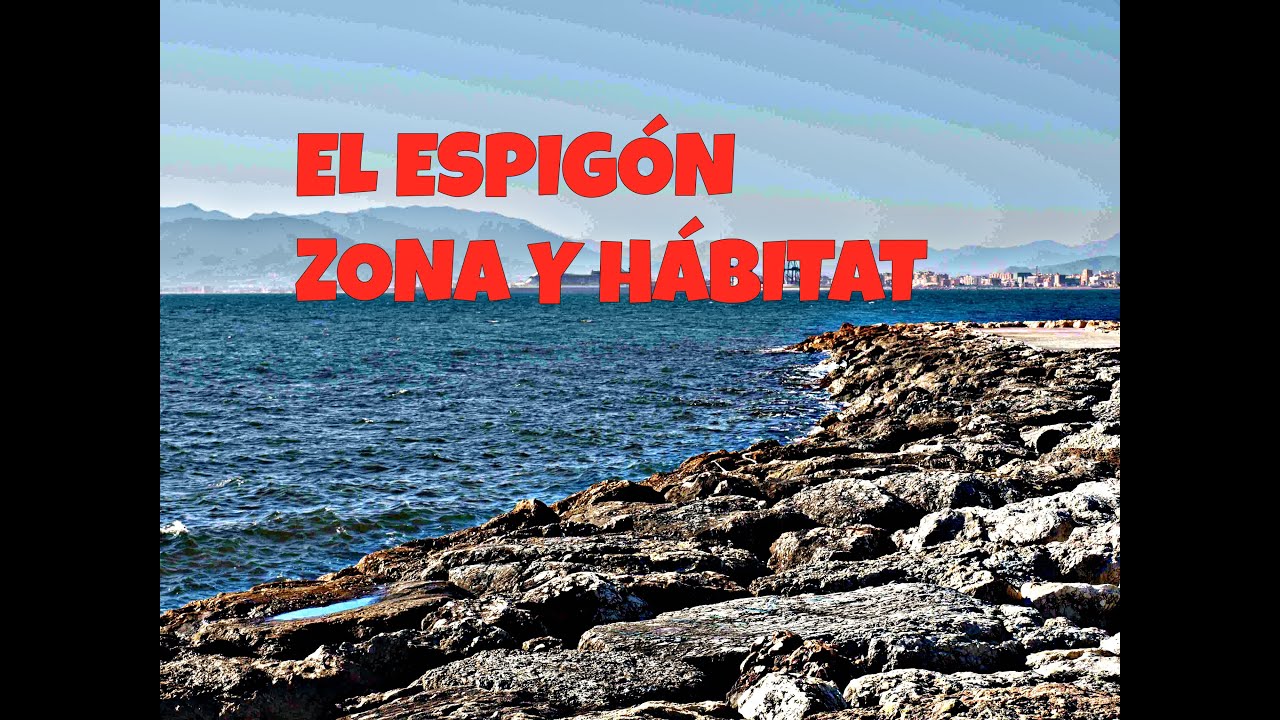 Barracudo- El espigón, zona de pesca y hábitat