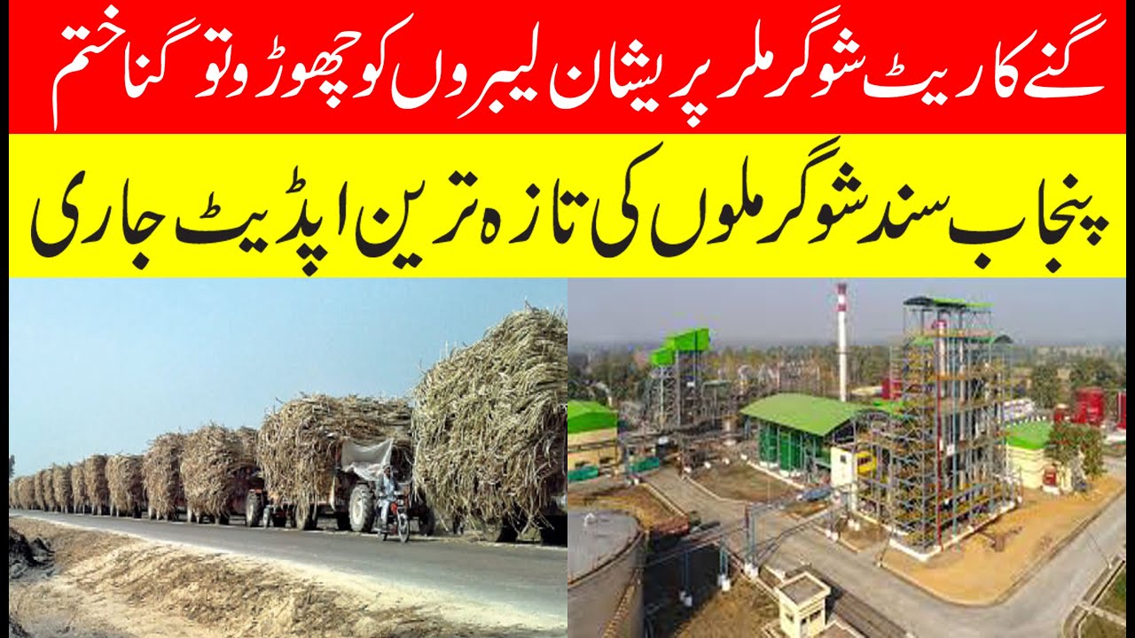 گنا ختم ہونے کے قریب شوگر ملر پریشان آج کا ریٹ | Today sugarcane rate latest update 2025-26