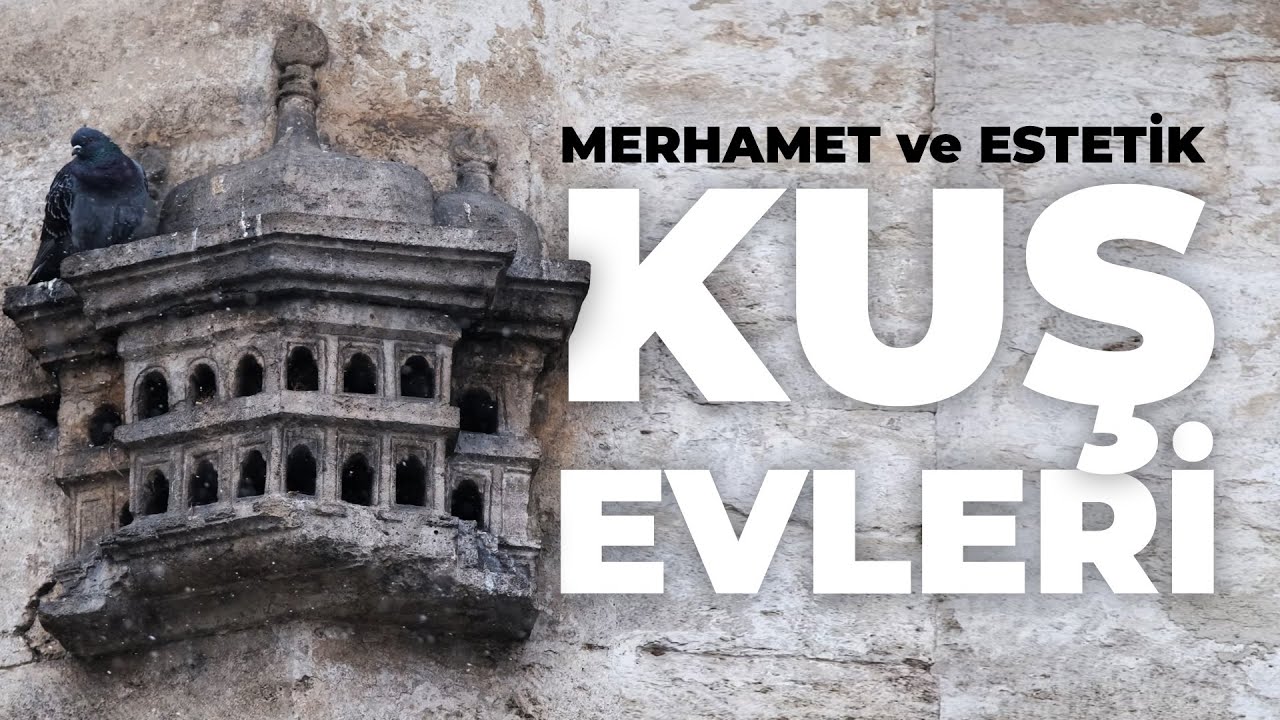 Kuş Evleri: Merhamet ve Estetiğin Buluşması