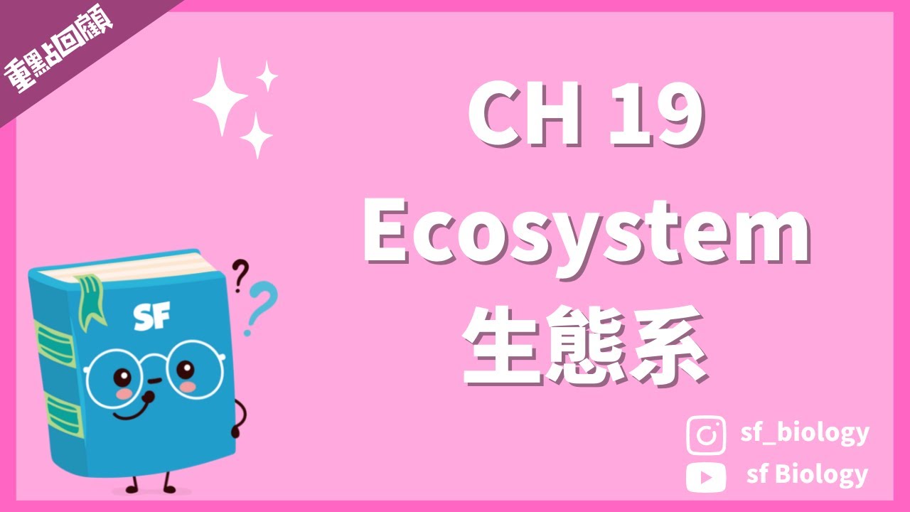 重點回顧: CH 19 Ecosystem 生態系