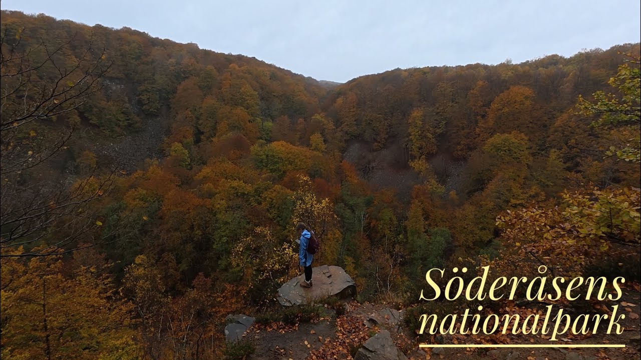Sevärdheter i Sverige, Söderåsens Nationalpark