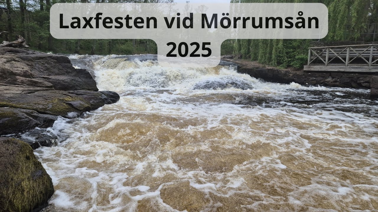 Mörrumsån 11:e maj 2025, Laxfesten i Mörrum, flugfiske, naturvård i vatten