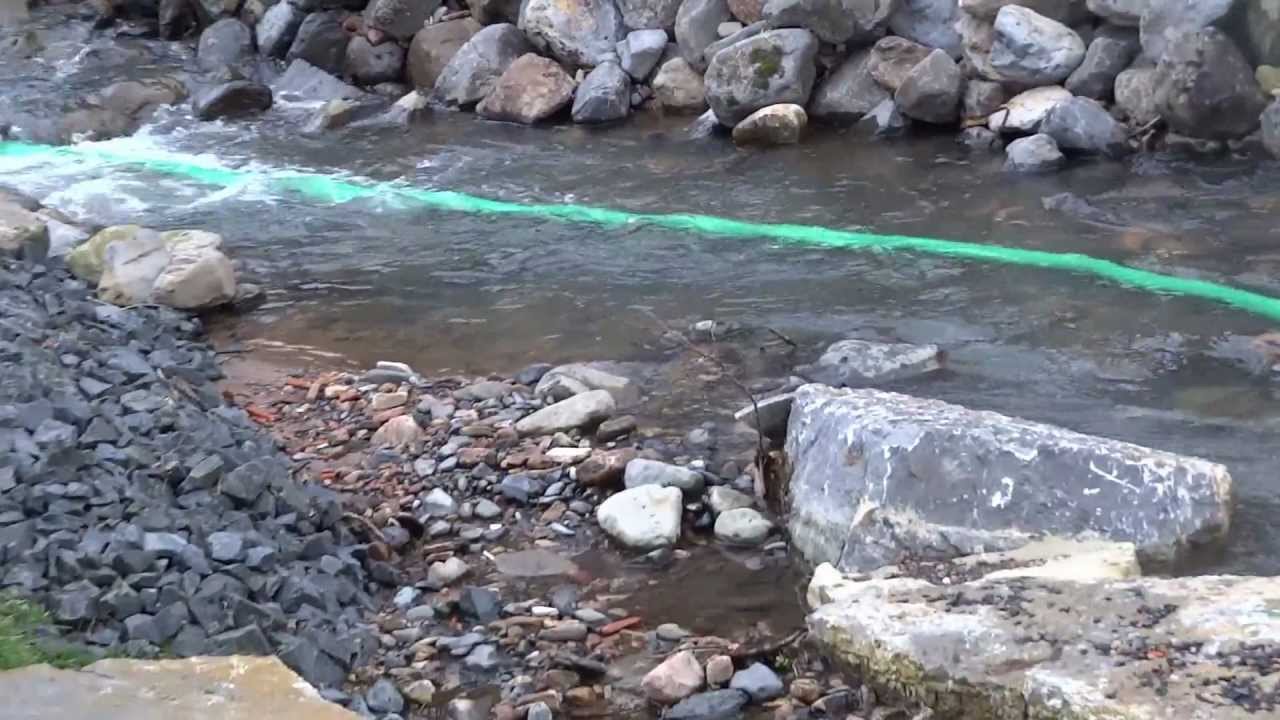 Wassertretbecken nach Hochwasser Kneipp-Becken Bischofsheim