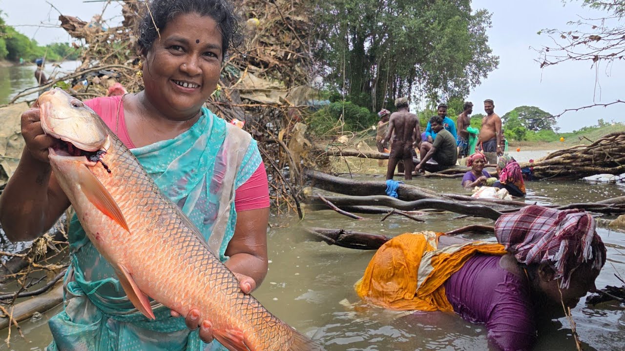 ஆற்றில் கைகளால் தடவி மீன் பிடிக்கும் பெண்கள் | Traditional Fish Catching in River | Hand Fishing