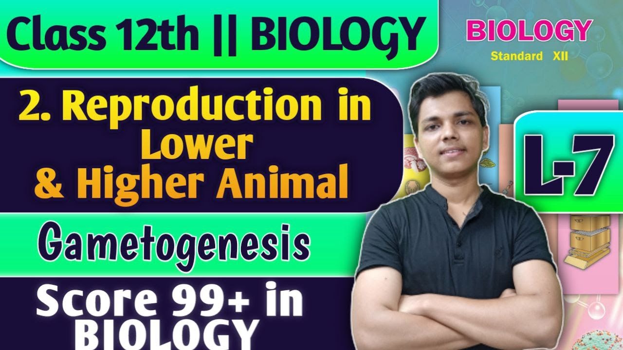 L-7 | 2. Reproduction in Lower and Higher Animal Class 12 Biology Gametogenesis #biology