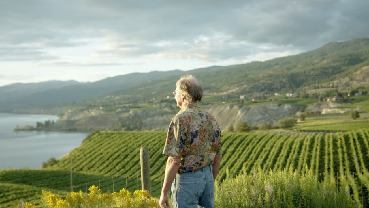 Vineyards in BC's Okanagan Valley