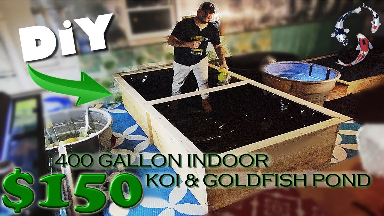 400 GALLON INDOOR KOI & GOLDFISH POND DIY