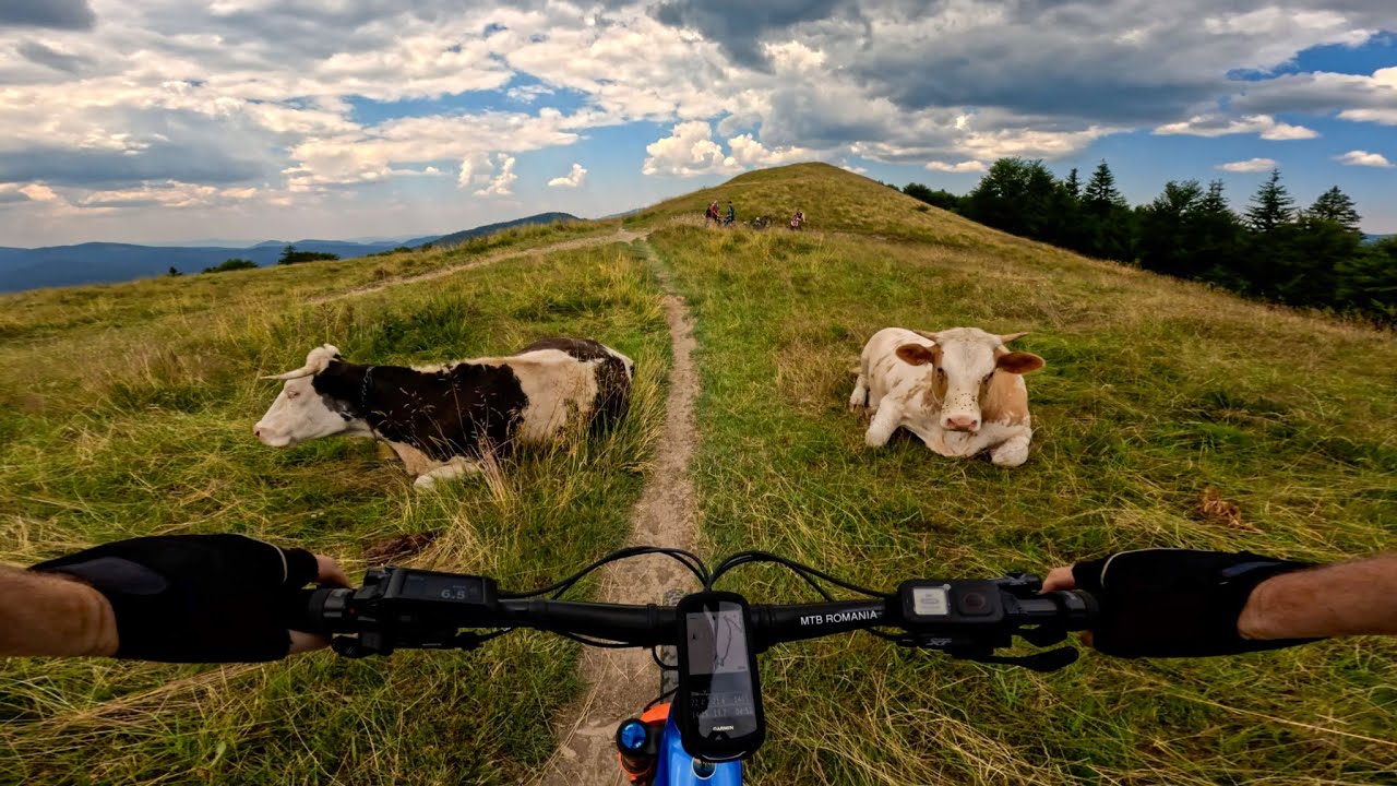 Probabil cel mai Accesibil Traseu de Munte pentru Bicicletă - Munții Baiului