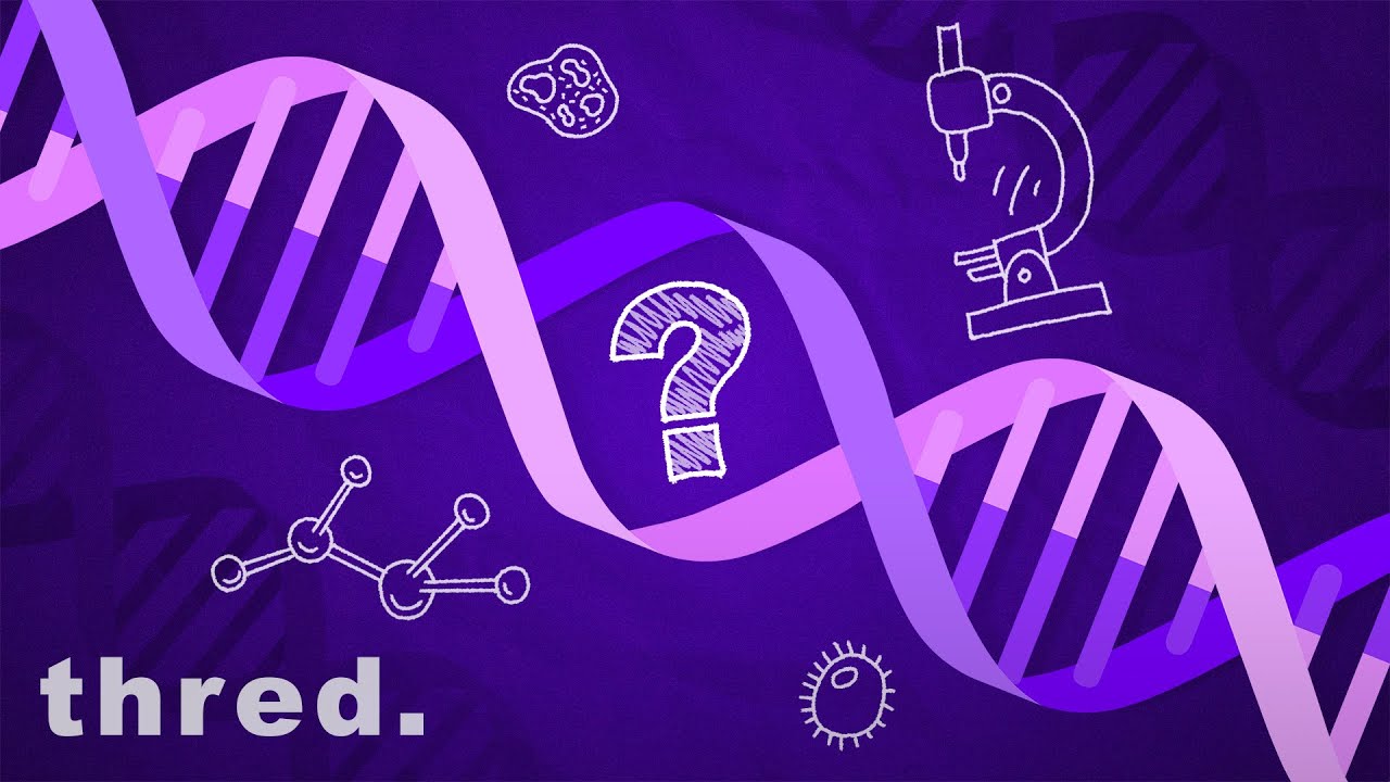 Gene-Editing and Designer Babies Explained