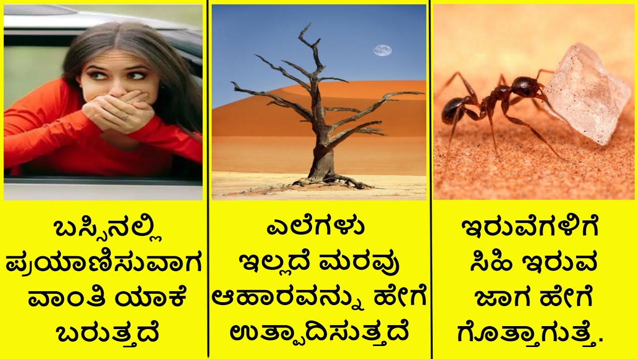 Amazing questions and answer || Kannada Facts
