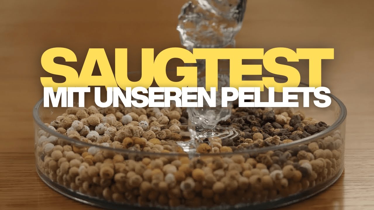 Der SAUGTEST mit verschiedenen Einstreuarten!