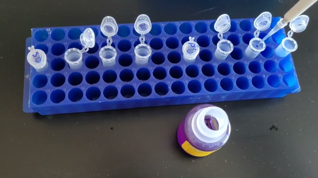 🧪Trypsin Digestion - SDS-PAGE to compare protein protection/stability || Practical Biochemistry