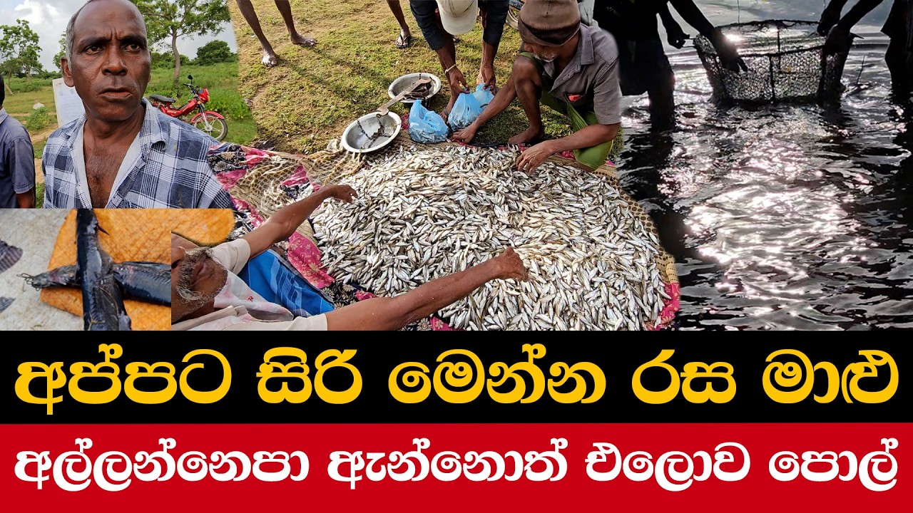 මුන් බිංතුල්ලො | උන් චූ යන්න අනින හුංගෝ | අවුරුදු 35ක් ඇවිදින කැන්ටිම