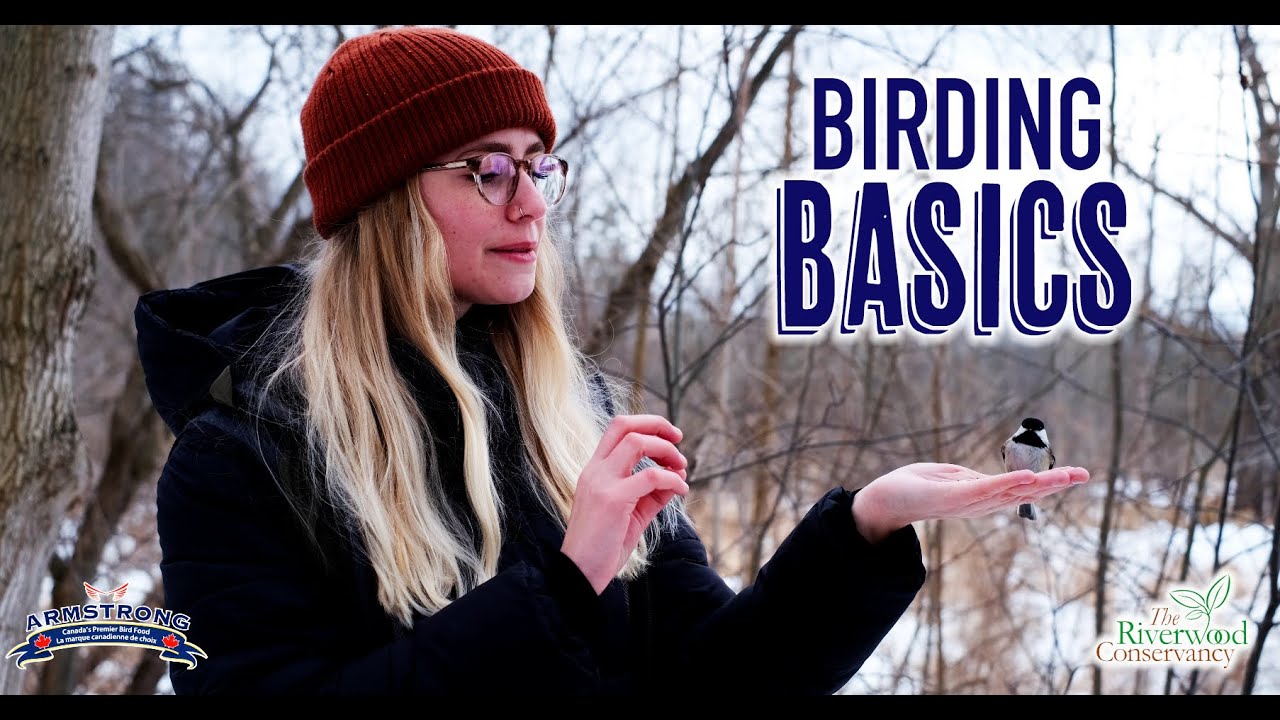 BIRDING BASICS - Popular Birds & How to Find Them