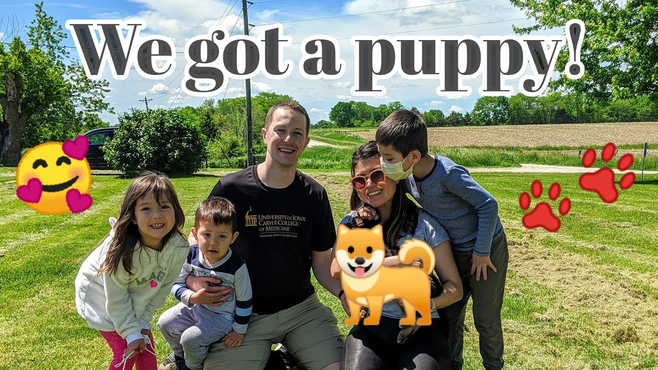Хамт явж нохойгоо авцгаая! 🤗🥰🐕‍🦺 Влог 79