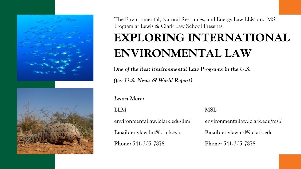 Explore International Environmental Law This Fall  Live Info Session with Professor Chris Wold