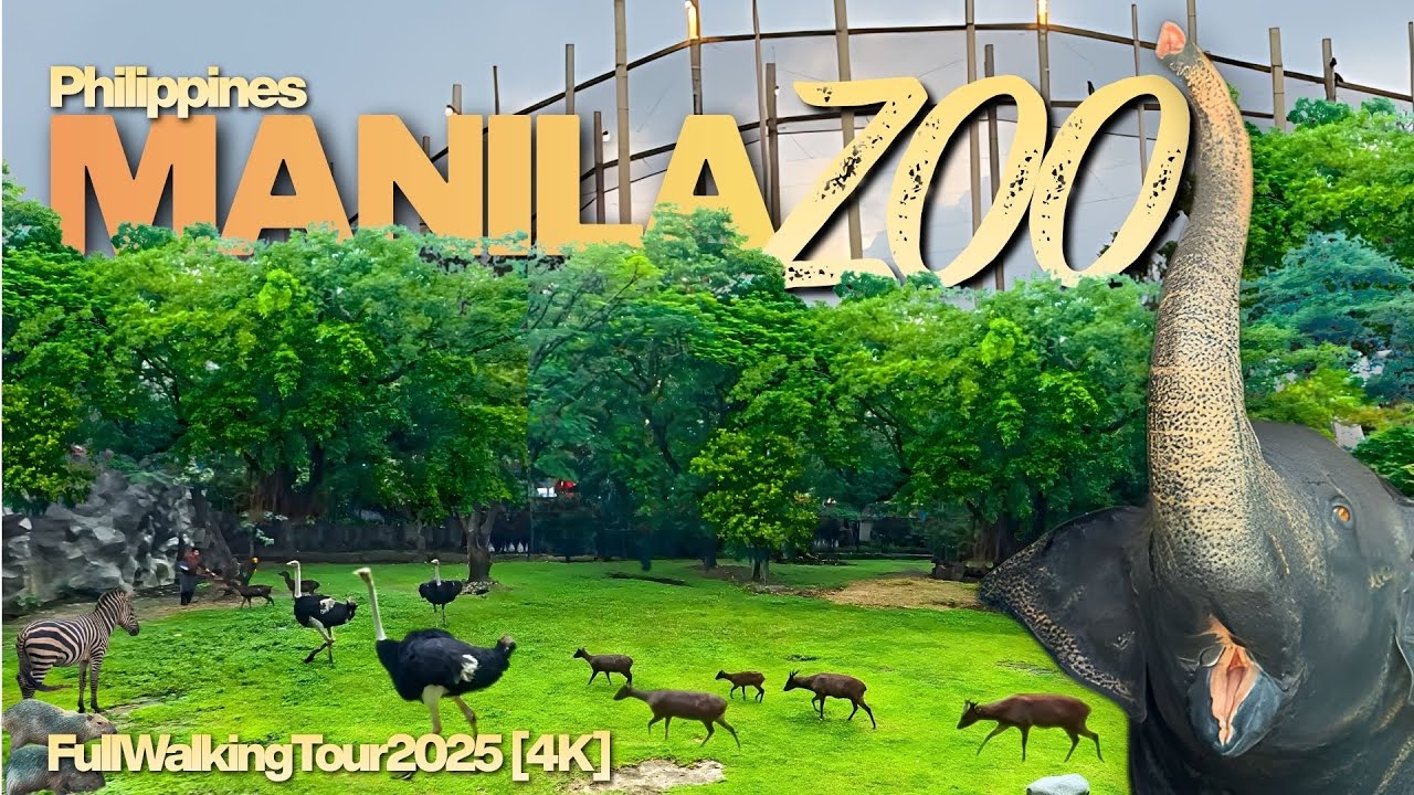 Experience the Modern Manila Zoo | Calm Day Ambiance Walk 2025 [4K]