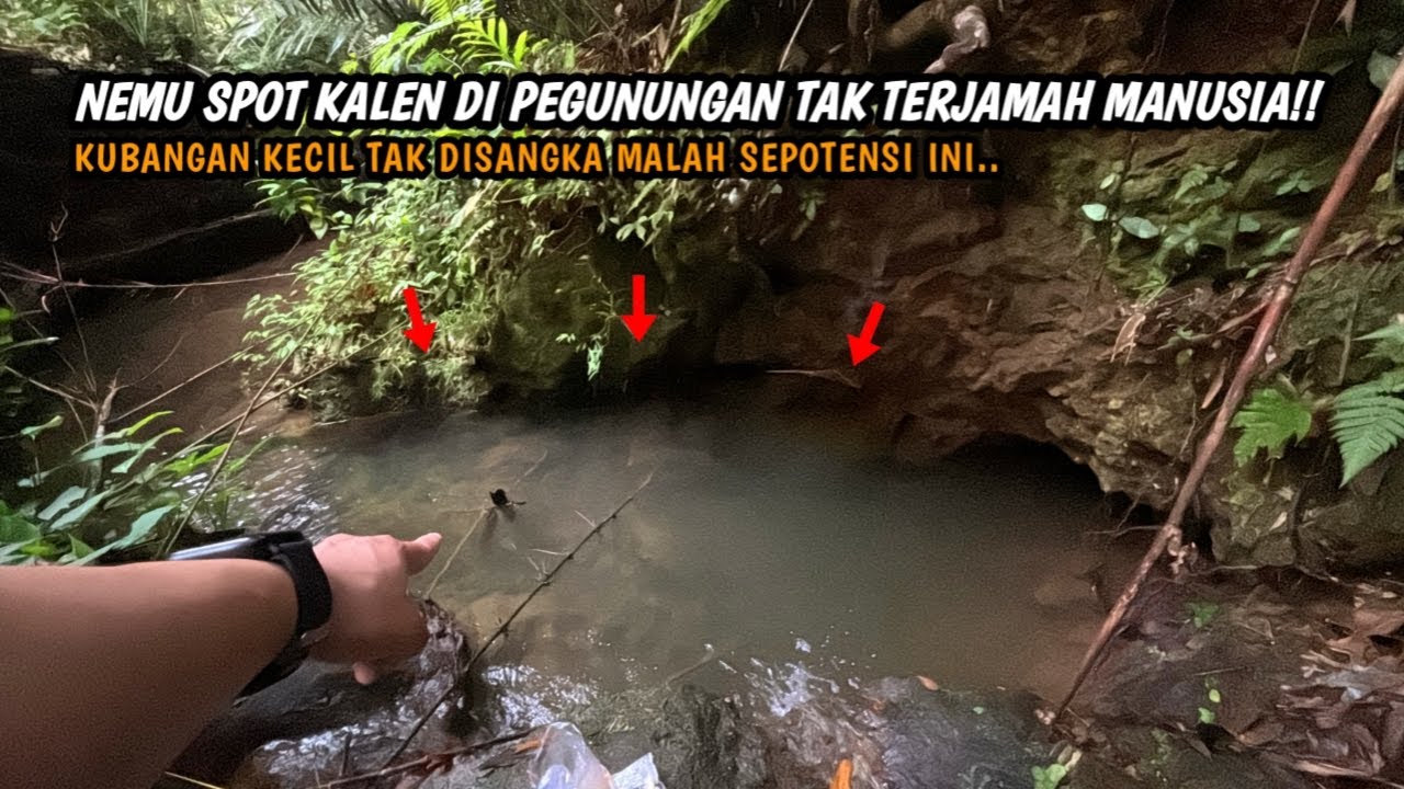 KALEN KECIL TAPI BERPOTENSI JADI SARANG IKAN!! Mancing wader teknik kumbul di spot kalen pegunungan