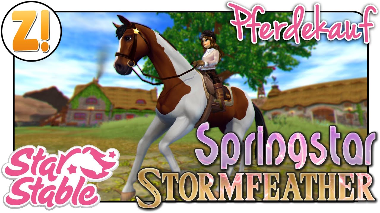 Star Stable [SSO]: Trakehner Schecke ~ Stormfeather vs. Springstar [PFERDEKAUF] [DEUTSCH]
