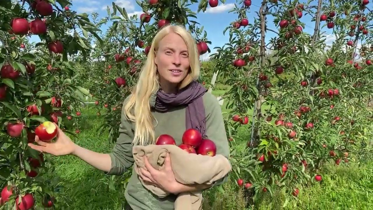 Why We Love Crimson Crisp Apples