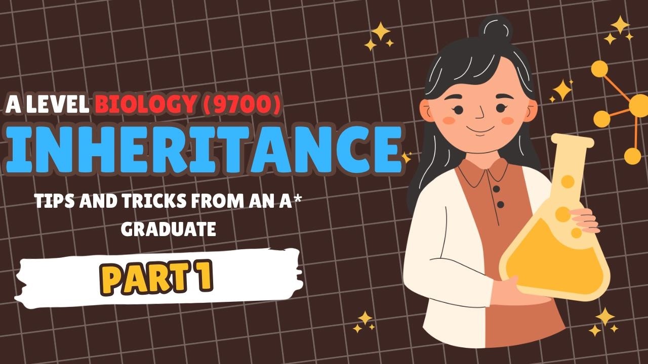 Inheritance | Basic Genetics + Meiosis Introduction | A Level Biology 9700 | Part 1