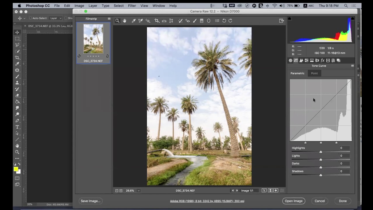 تعديل صور الطبيعة بفلتر الكاميرا رو بالفوتوشوب