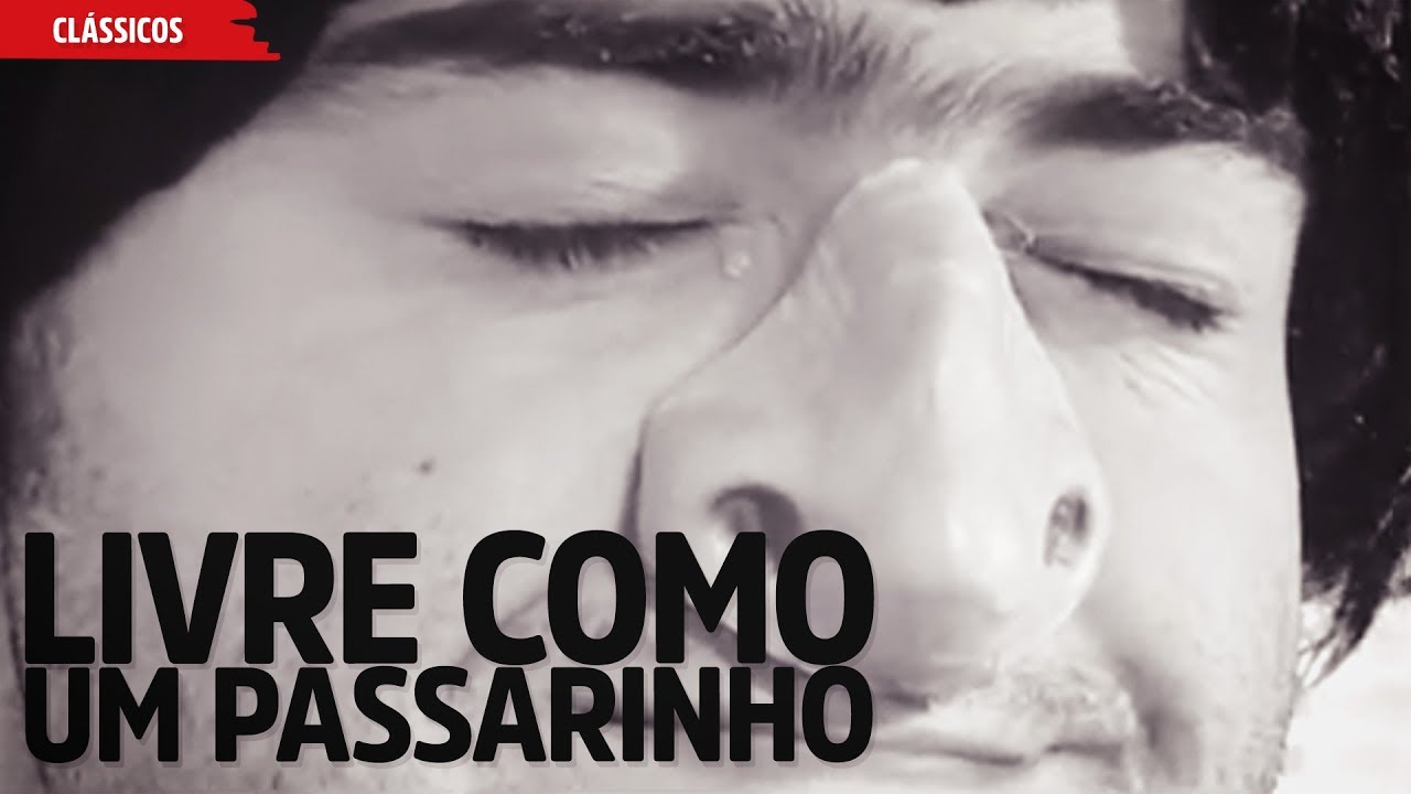 Livre Como Um Passarinho | Boça