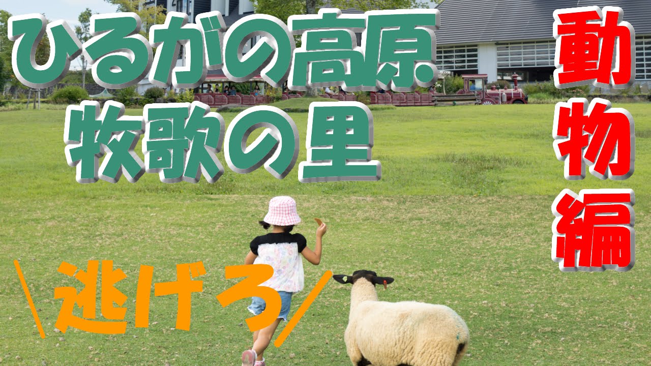 ひるがの高原【牧歌の里】に行って動物とふれあいしてきたよ