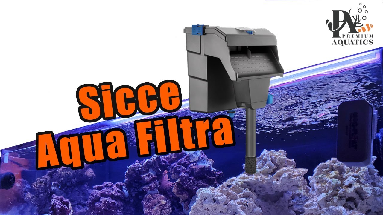 РОЗЫГРЫШ - Sicce Aqua Filtra