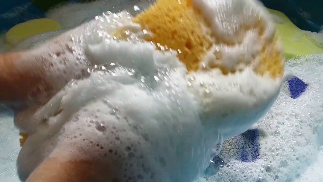 Pool asmr + Sponges + Full Bottle Of Fabuloso