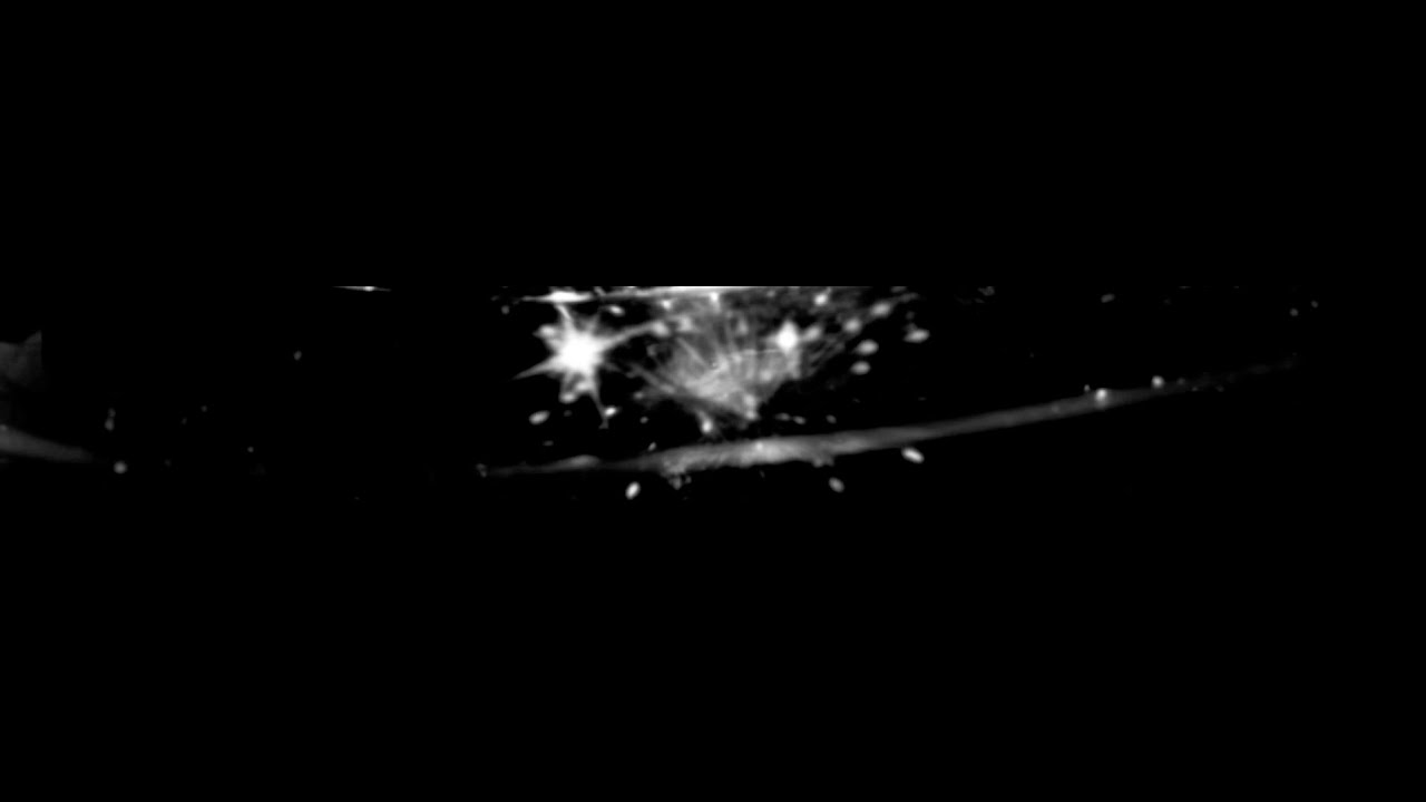 【忘れじの言の葉耐久】ウォルピスカーター