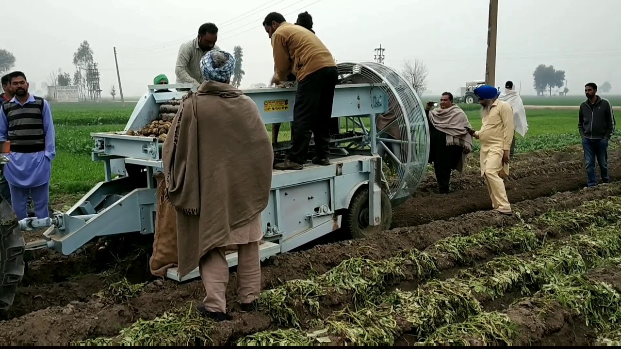 Potato digger and loder(2)