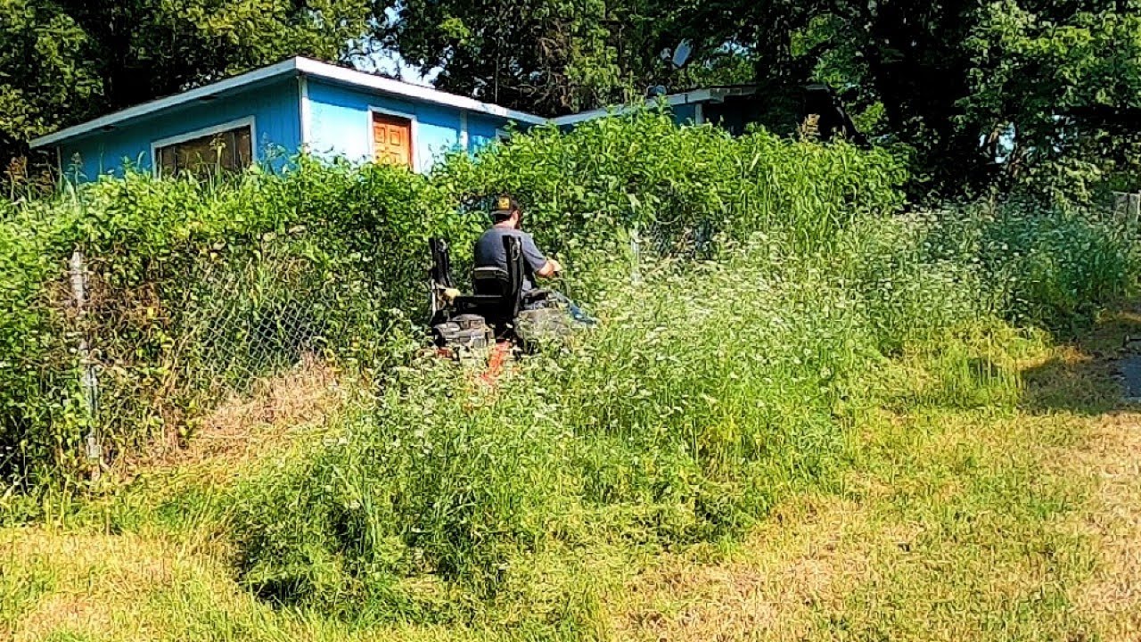 I gave this ABANDONED house a FREE makeover |TIME-LAPES OF THE CRAZY YARD CLEAN UP
