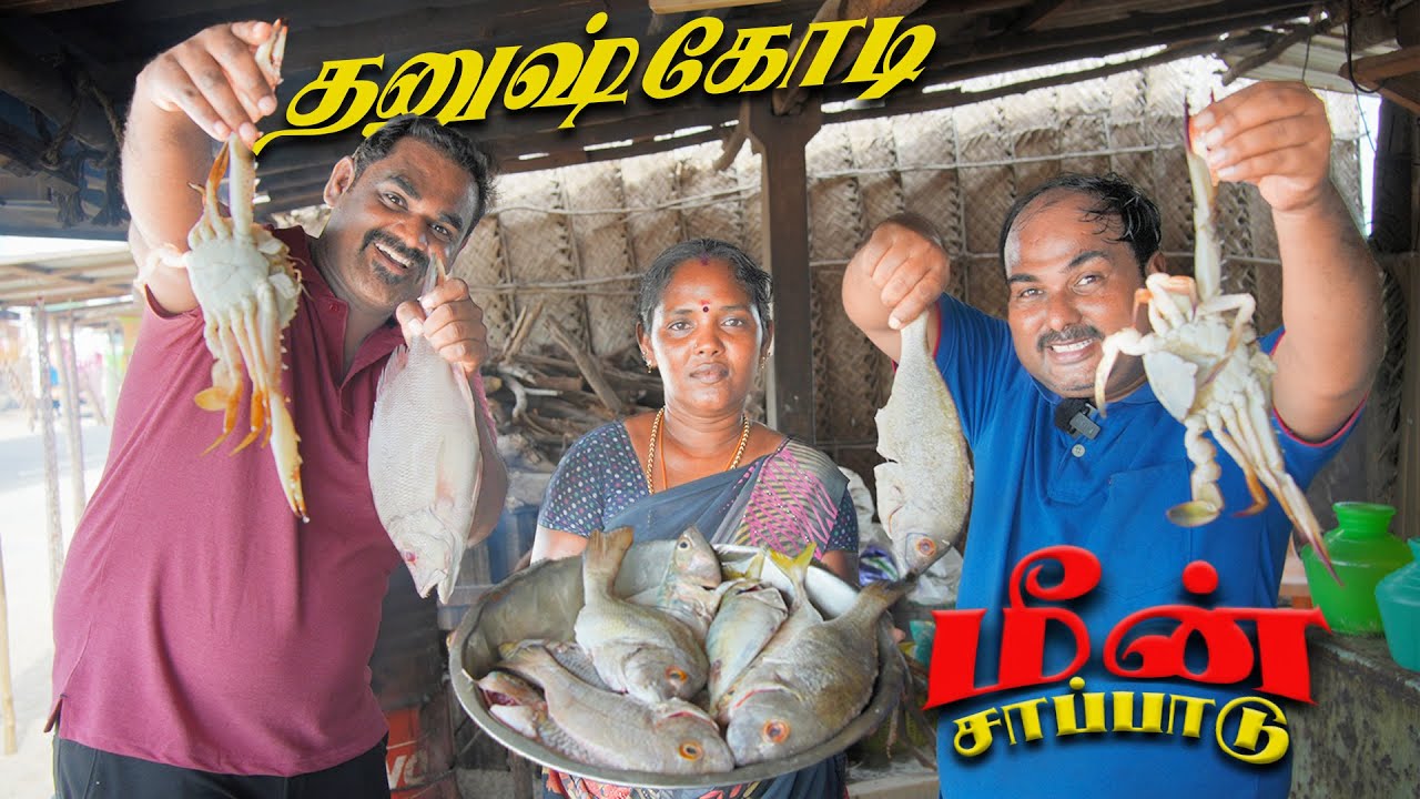 மீன் விருந்து தனுஷ்கோடியில் | WFT Vlog