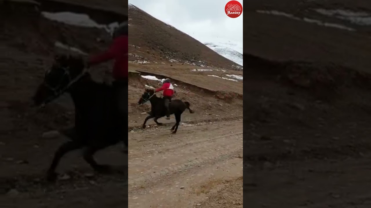 Алайкуу Кок-Арт ат жарыш 27-Март 2022💥🇰🇬🤠