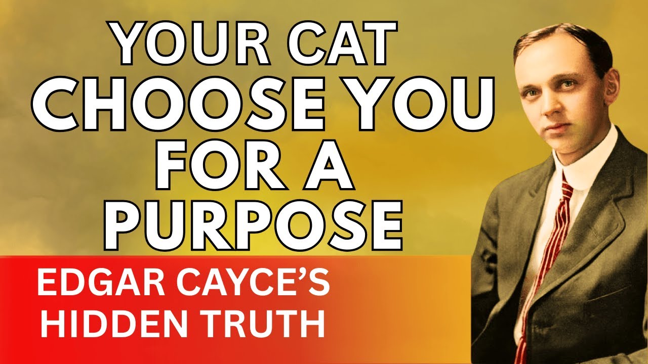 Your Cat Chose You for a Purpose – Edgar Cayce’s Hidden Truth
