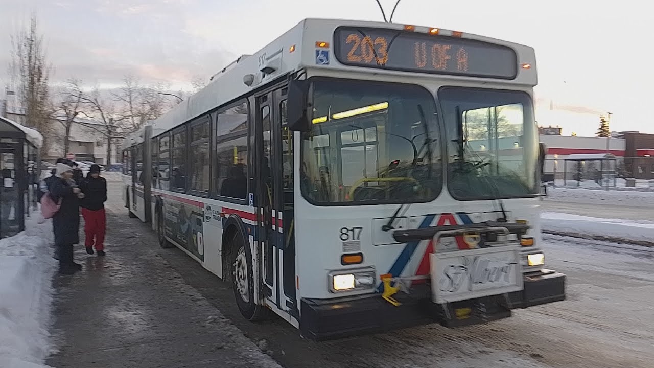 St Albert Transit 2006 New Flyer D60LF 817 (203 U OF A)