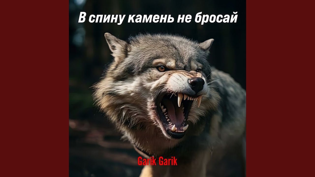 В спину камень не бросай