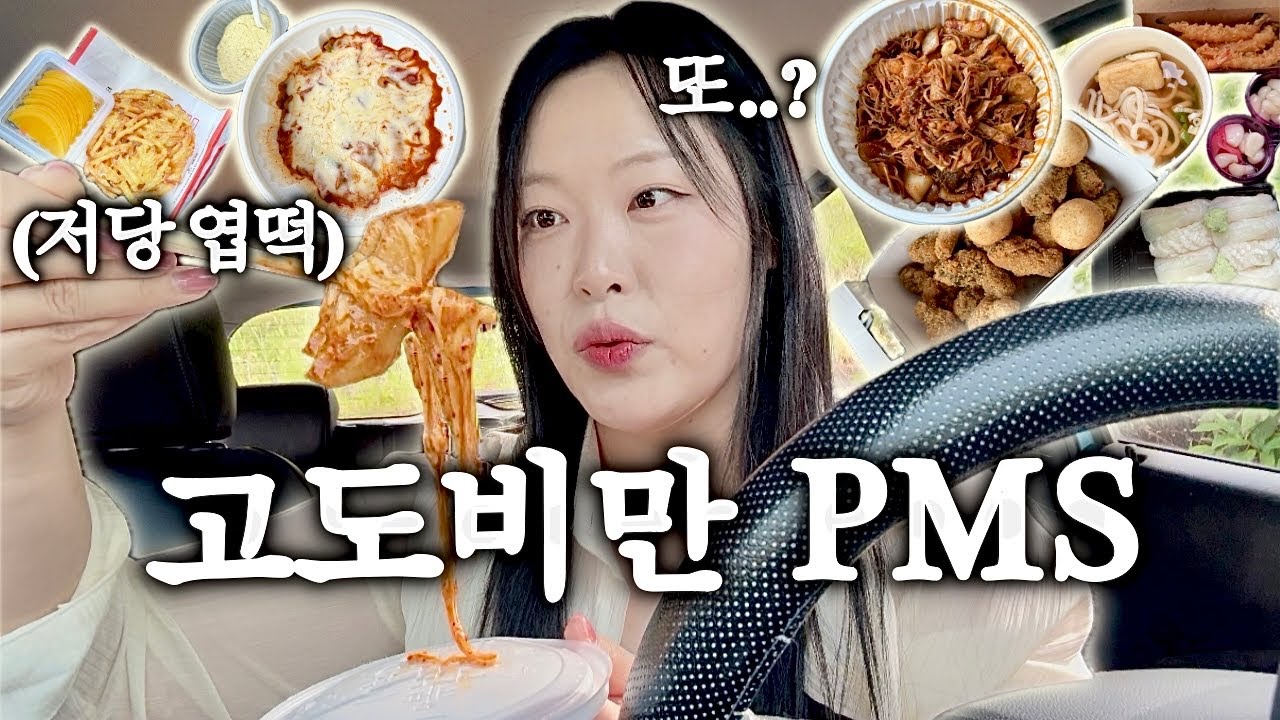 VLOG PMS 어서오(지마..)