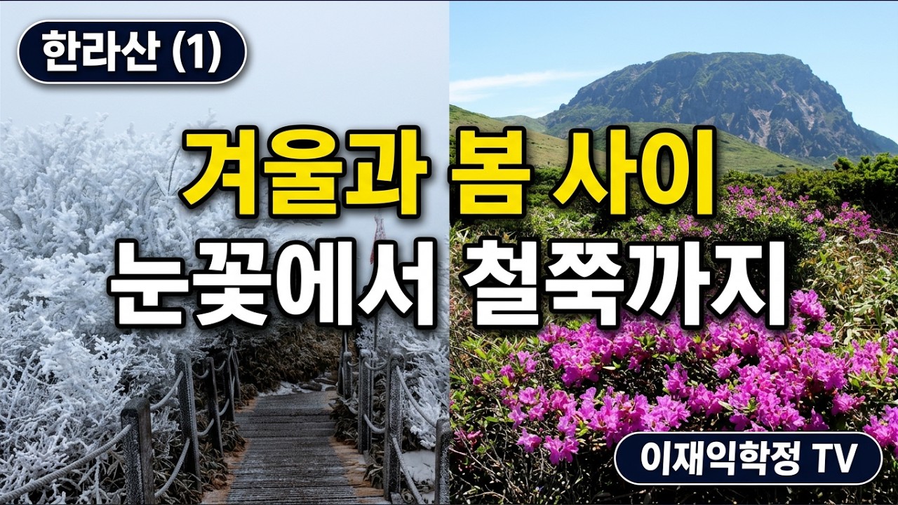 한라산,겨울과 봄사이(1),영실 눈과 철쭉