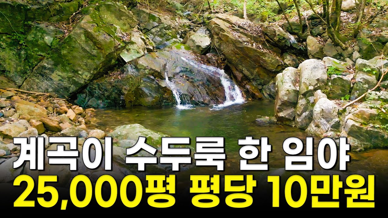 계곡 옆 나만의 공간, 분할 구매로 전원생활 시작하기