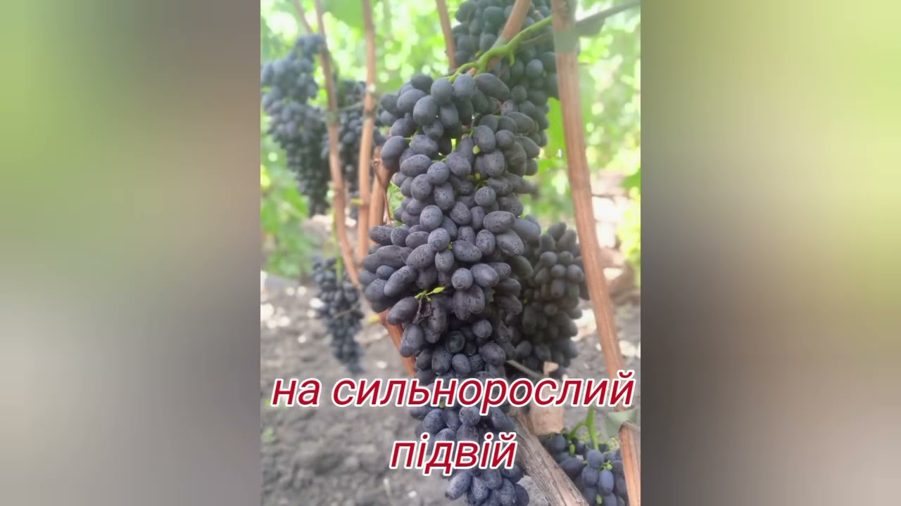 22 февраля 2026 г.
