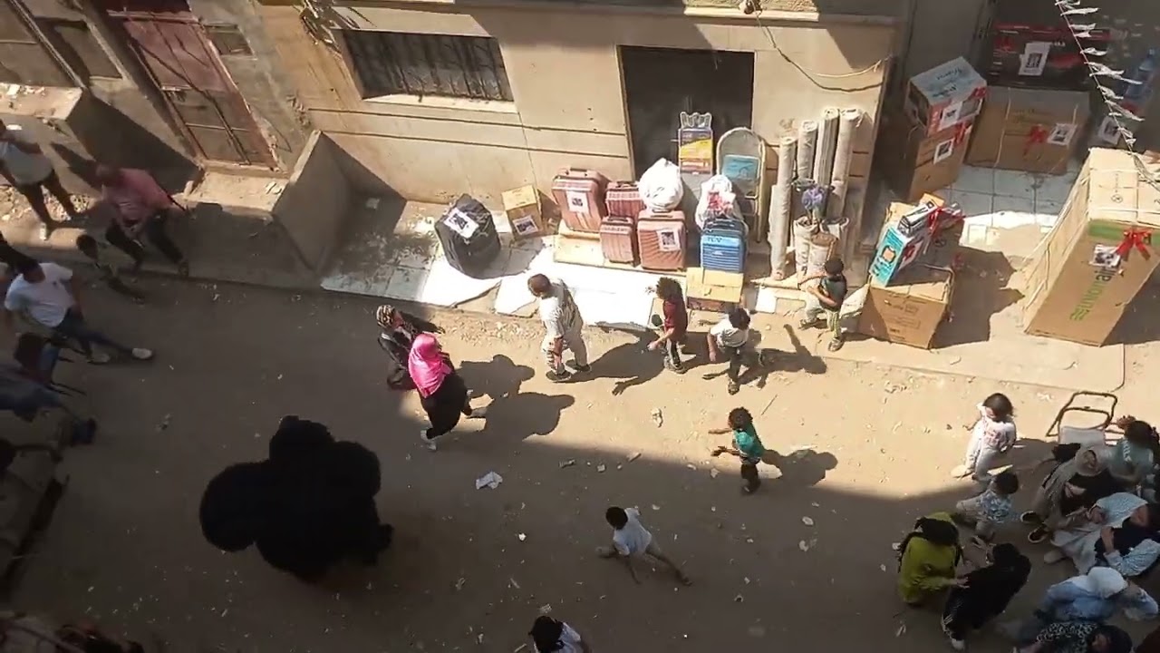 شوفوا الدب عمل ايه في جهاز العروسه 