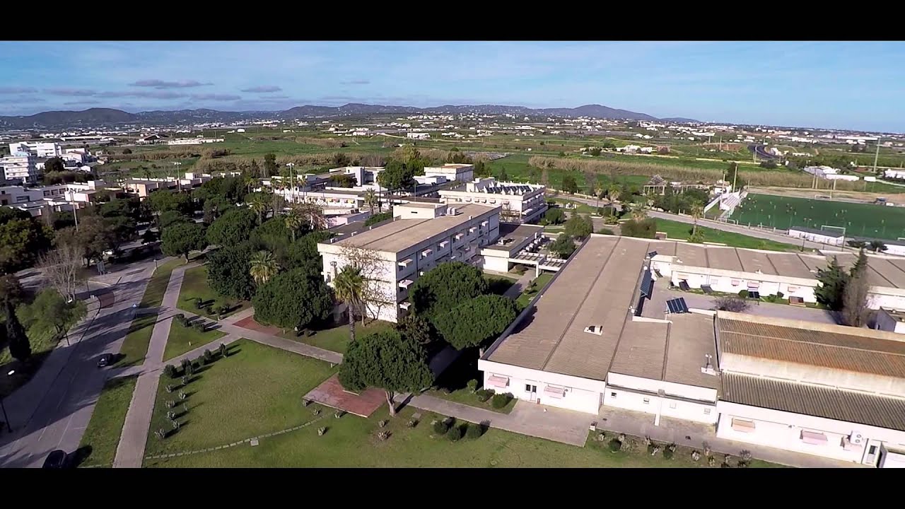 UNIVERSIDADE DO ALGARVE - Estudar onde é bom viver!