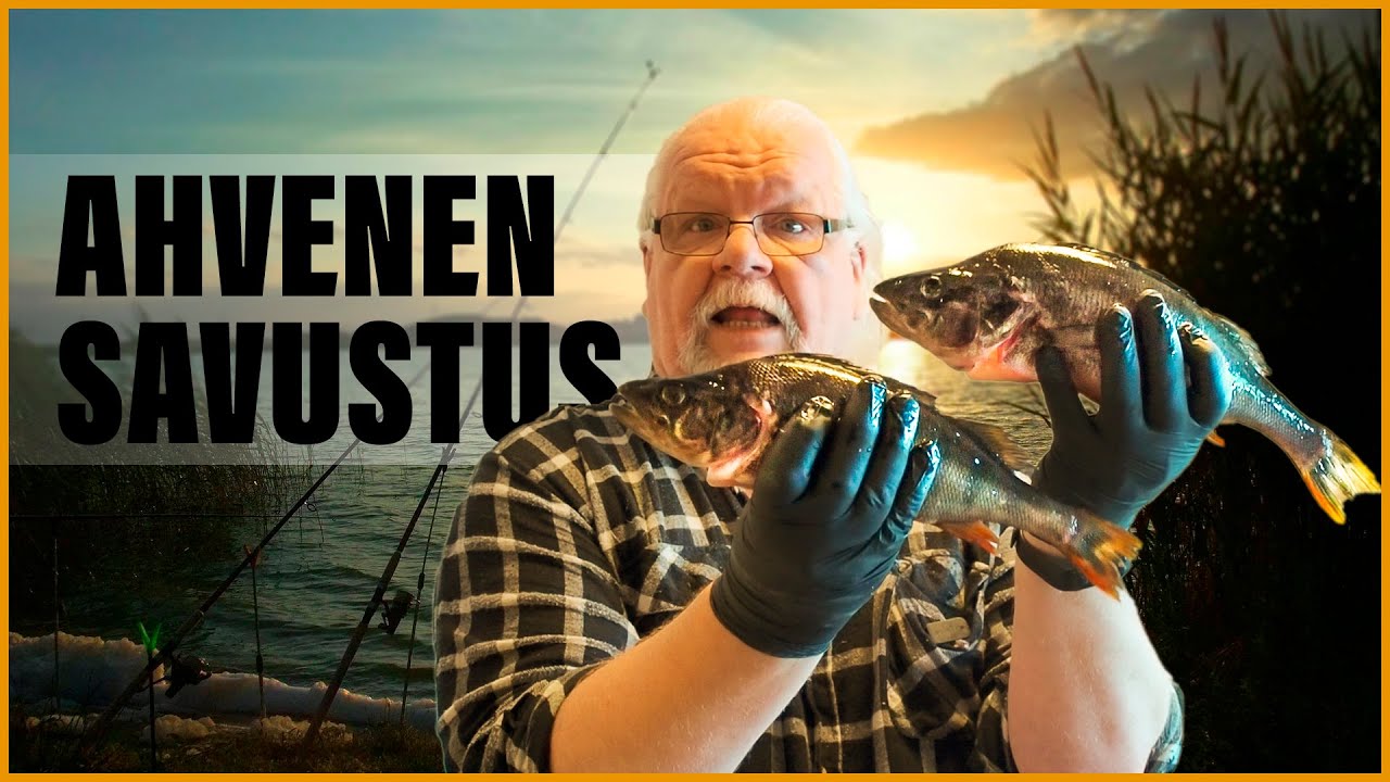 Ahvenen savustus