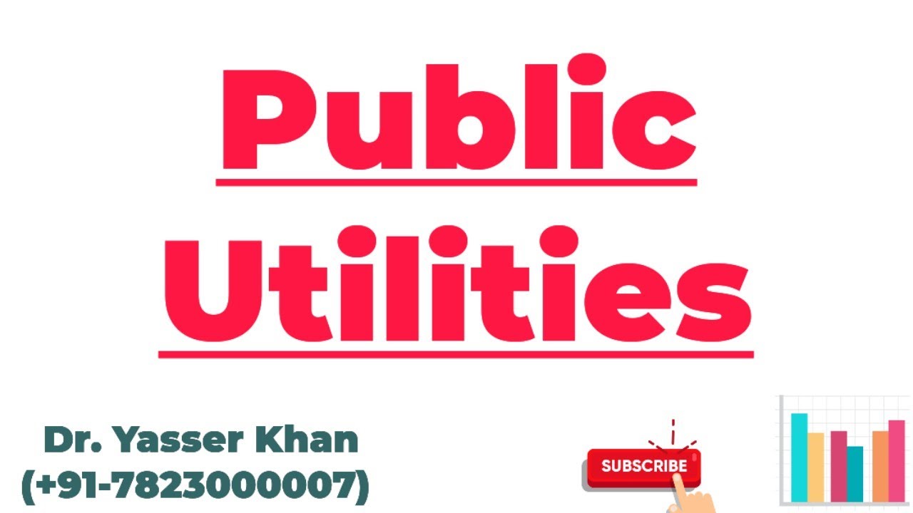 Public Utilities | Understanding Public Utilities | Public Utilities Explained | Economics | CUET