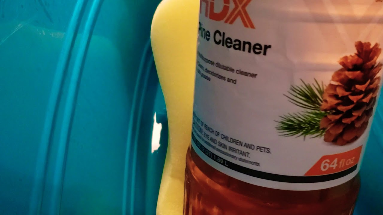 [Asmr] Hdx Pine cleaner Squeeze!! 🐿